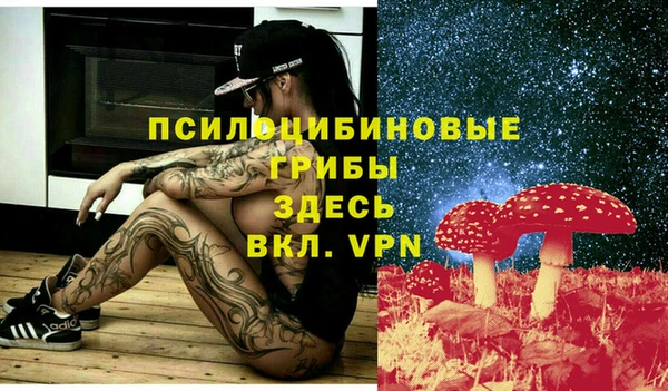 2c-b Алексин