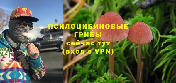 кокс Алексеевка